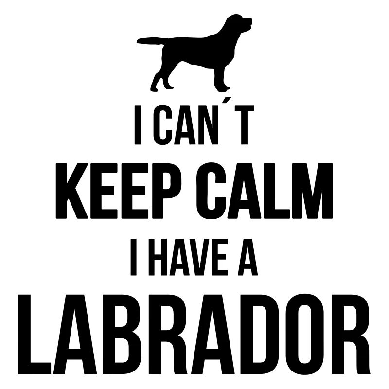 LABRADOR can't keep calm