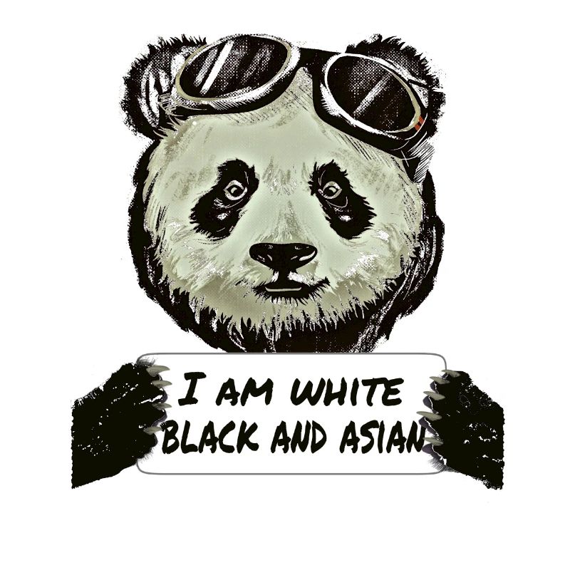 Cool Pilote Panda