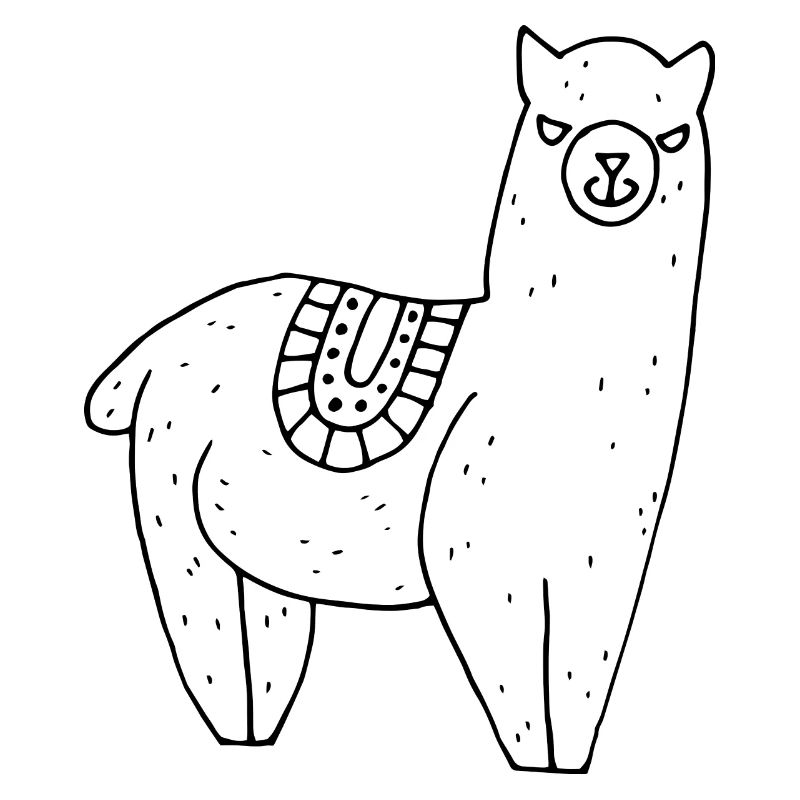 Alpaca with blanket