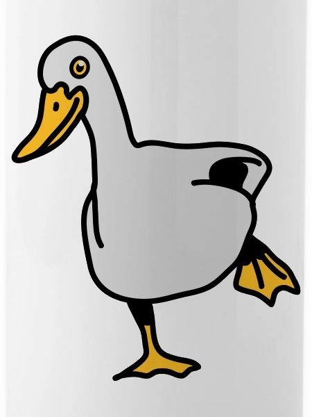 duck