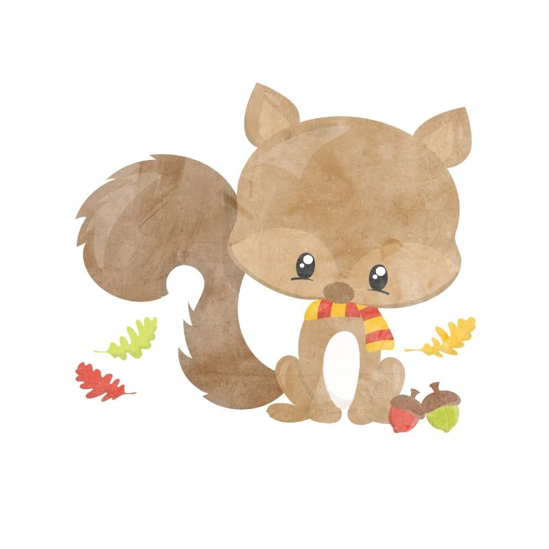 Forest animals Eichhoernchen
