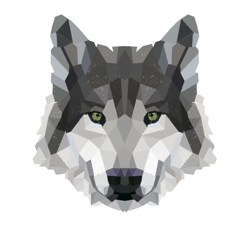 POLYGON WOLF WOLVES HUSKY PACK DOG PACK PACK