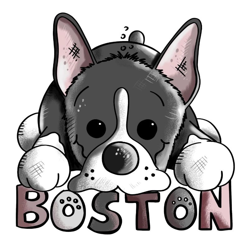 Drôle Boston Terrier