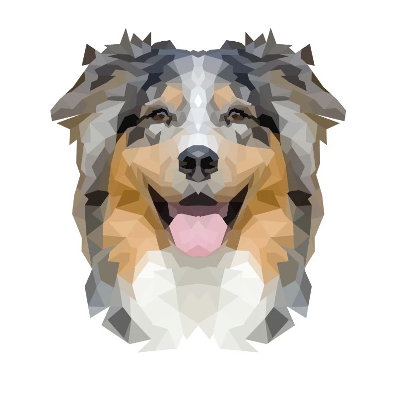 Australian Shepherd polygon