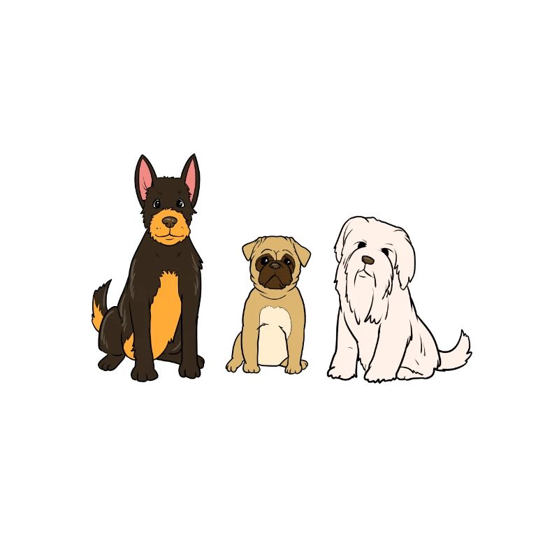 Dog training dog sport dog