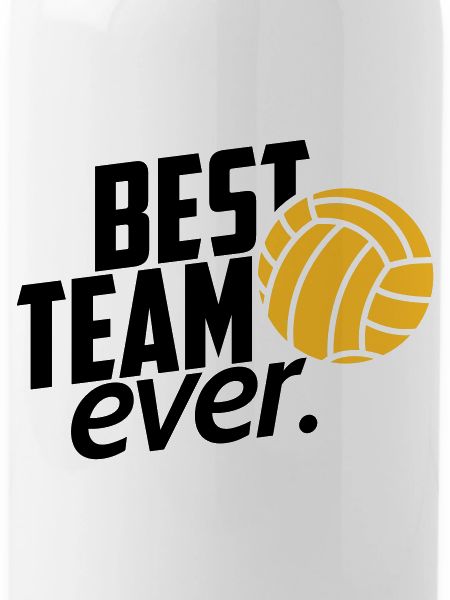 volleyball team