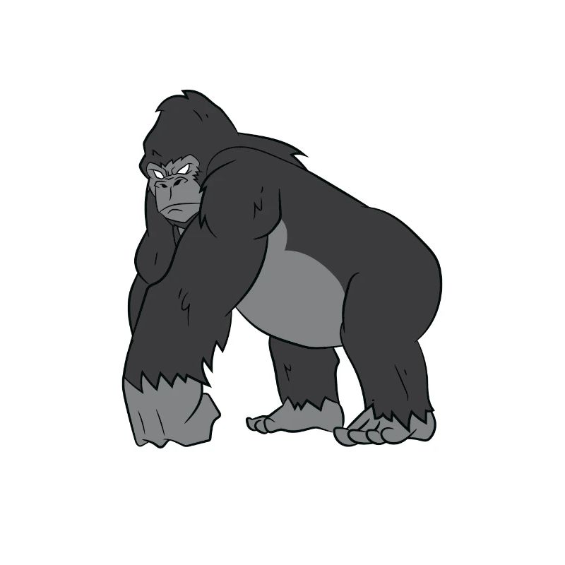 Gorilla - Strong silverback