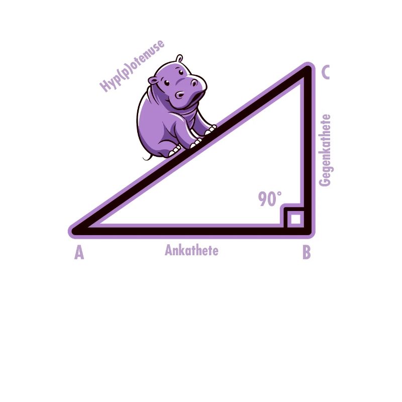 Hyppotenuse Hypotenuse Triangle Math Nerd Humor