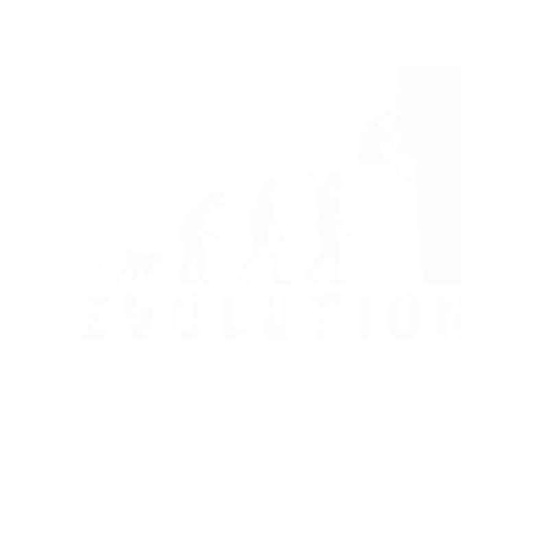 Klettern Bouldern Evolution