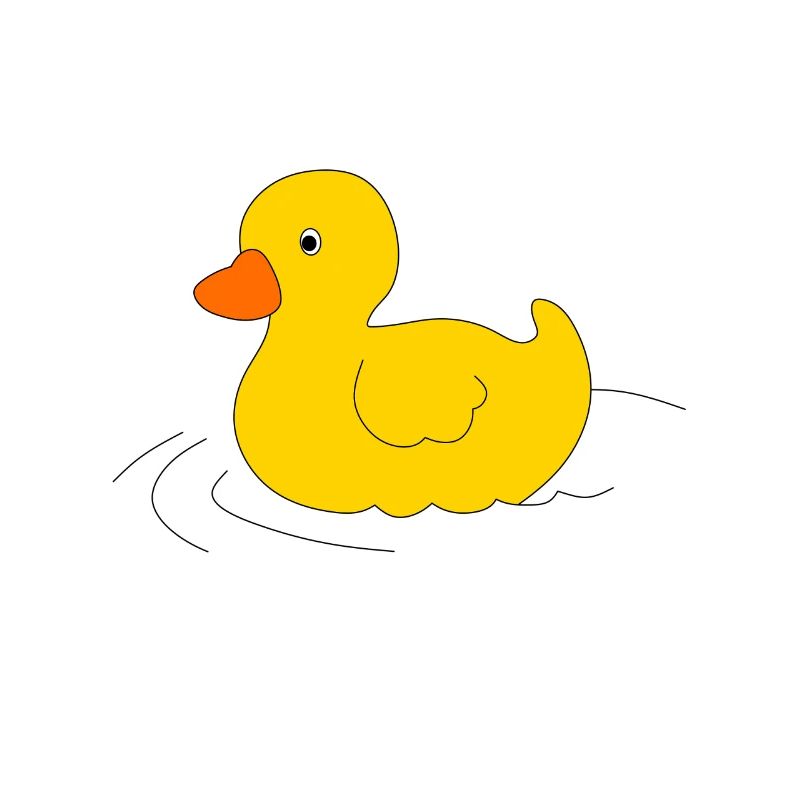 Canard - canard