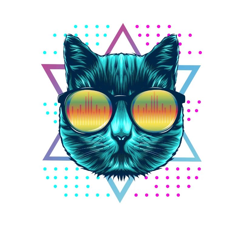 Chat Rave Techno Disco EDM et Hardstyle Cat