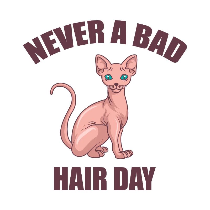 Chat Sphynx