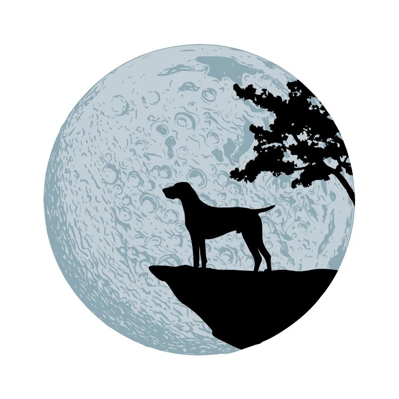 German shorthaired pointer