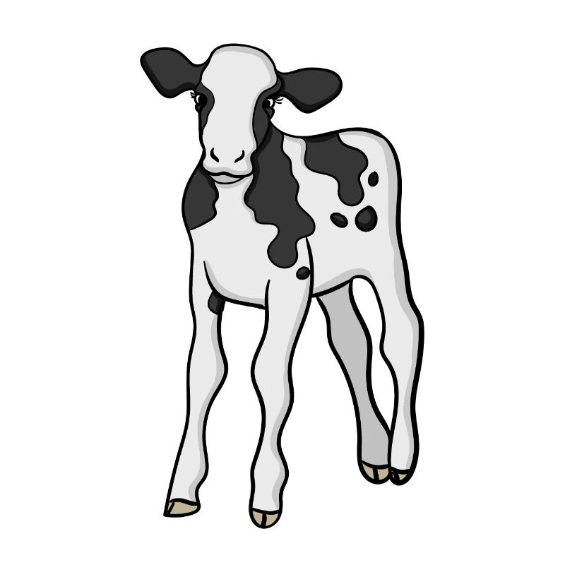 Vache