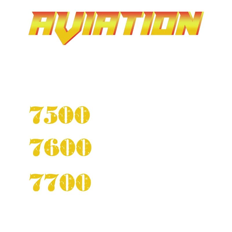 Aviation Cheat Codes gift, Aviation gift,