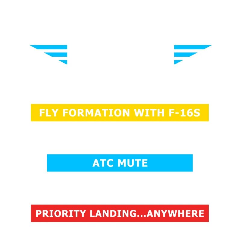 Aviation Cheat Codes Geschenk, Aviation Geschenk,