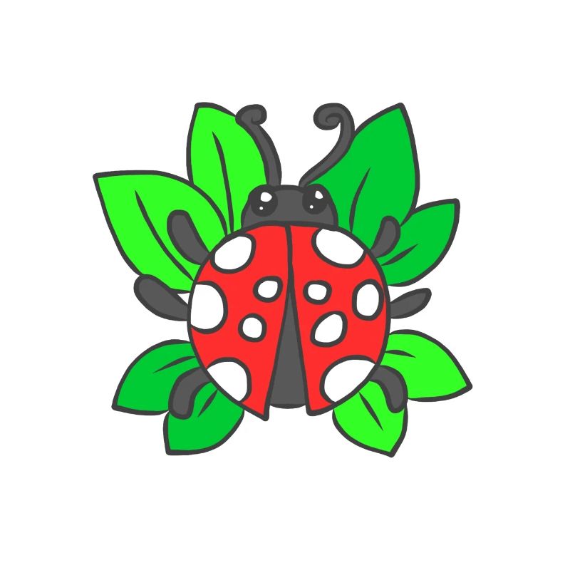 Marienkäfer Adoniskäfer Maikäfer Glückskäfer Glück