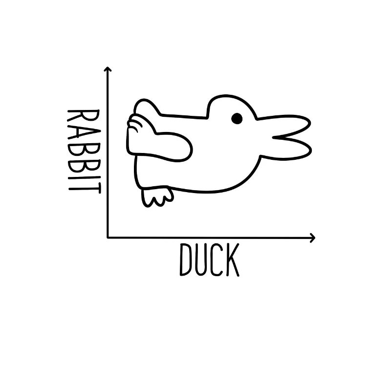 Duck x rabbit graph irony