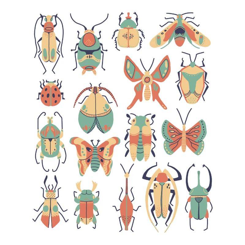 Insects beetles crawling animals