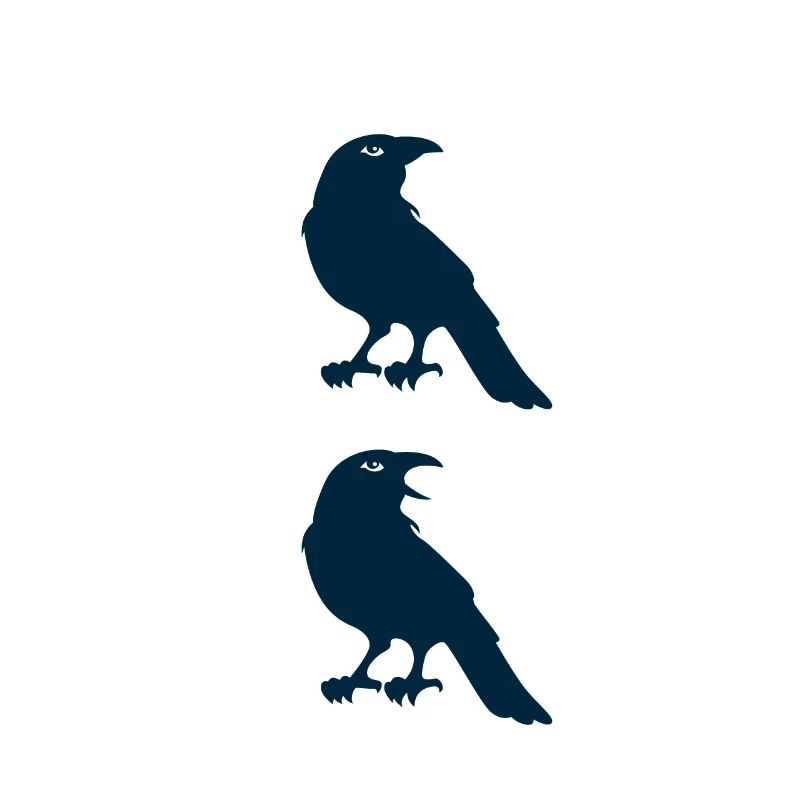 Crow Schrei Geek oder Hipster Geschenk