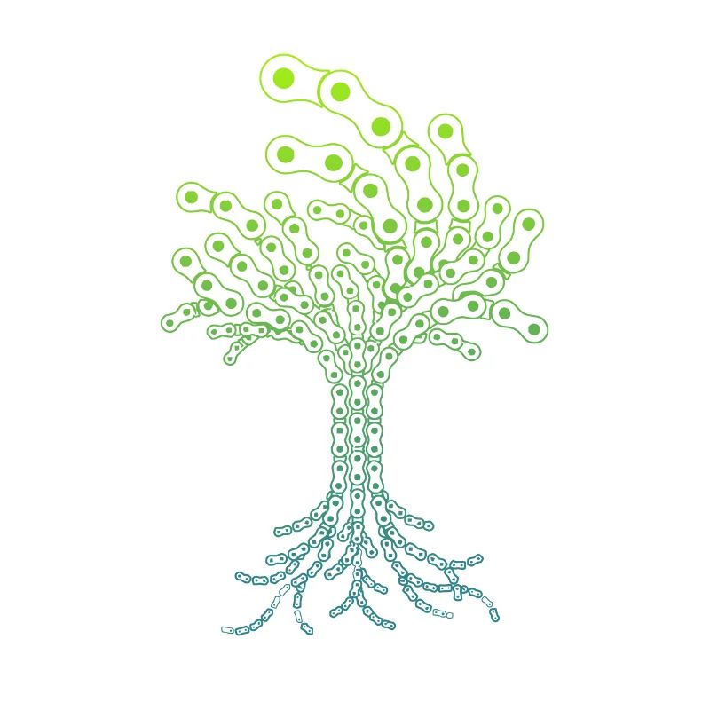 Tree of Bicycle Chains