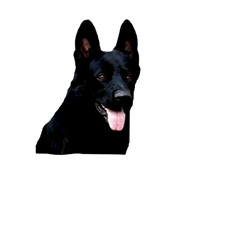 Shepherd german shepherd black dog