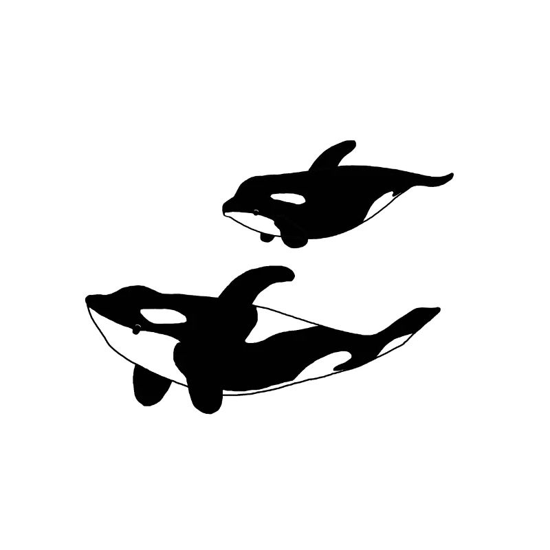 Orca mère avec enfant