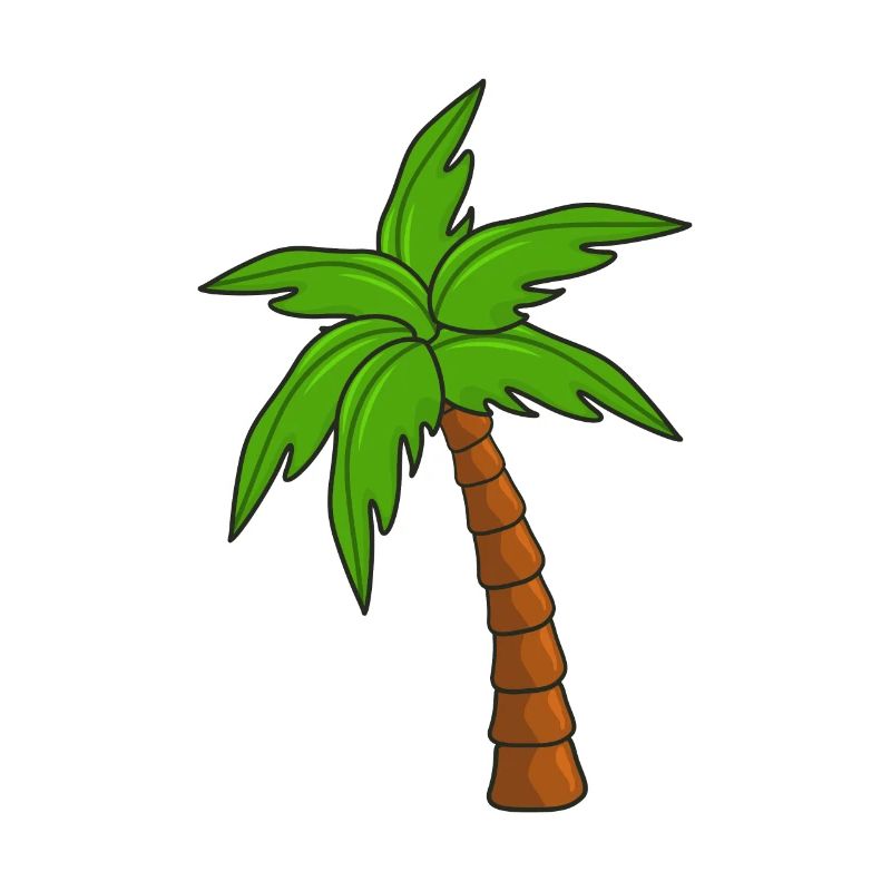 palm tree