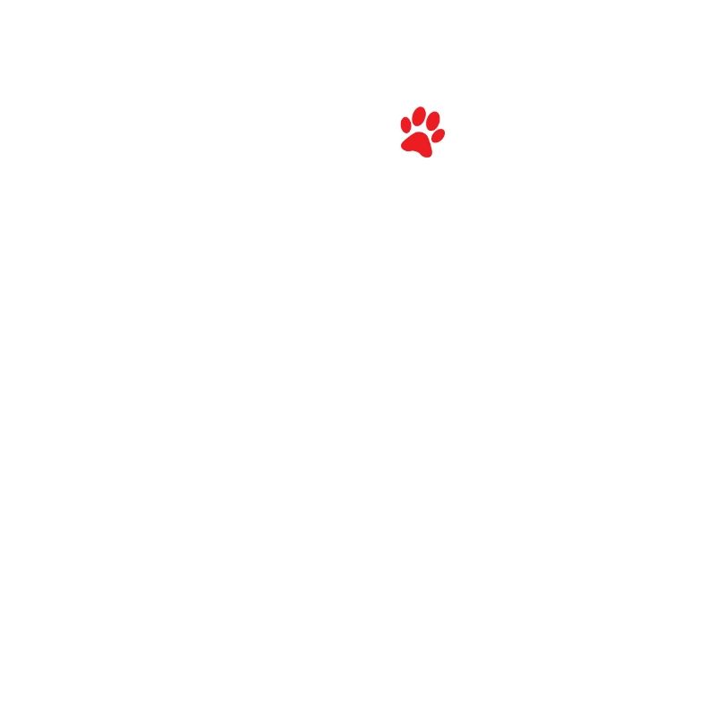 DeutscherSchäferhund
