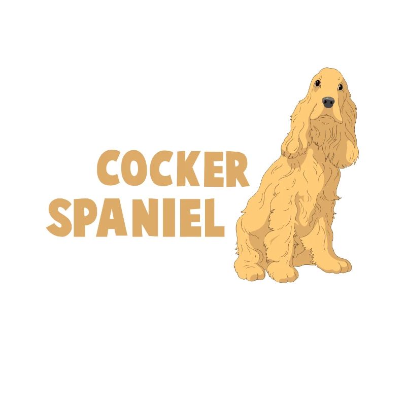 Cocker Spaniel