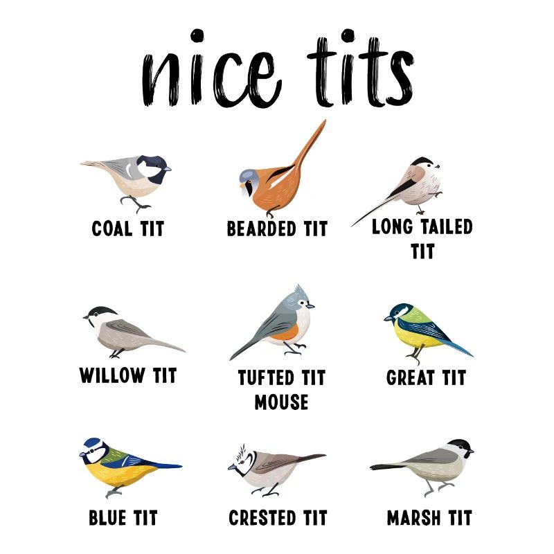 Nice Tits Tufted Titmouse Bird watching Gift Funny
