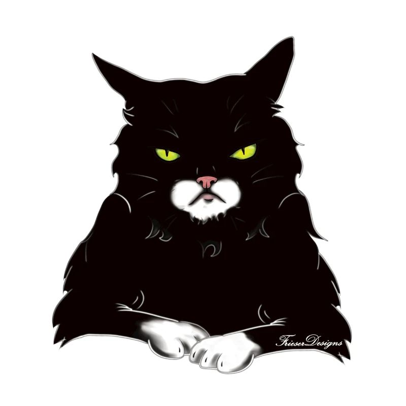 Le chat à la pointe du blanc