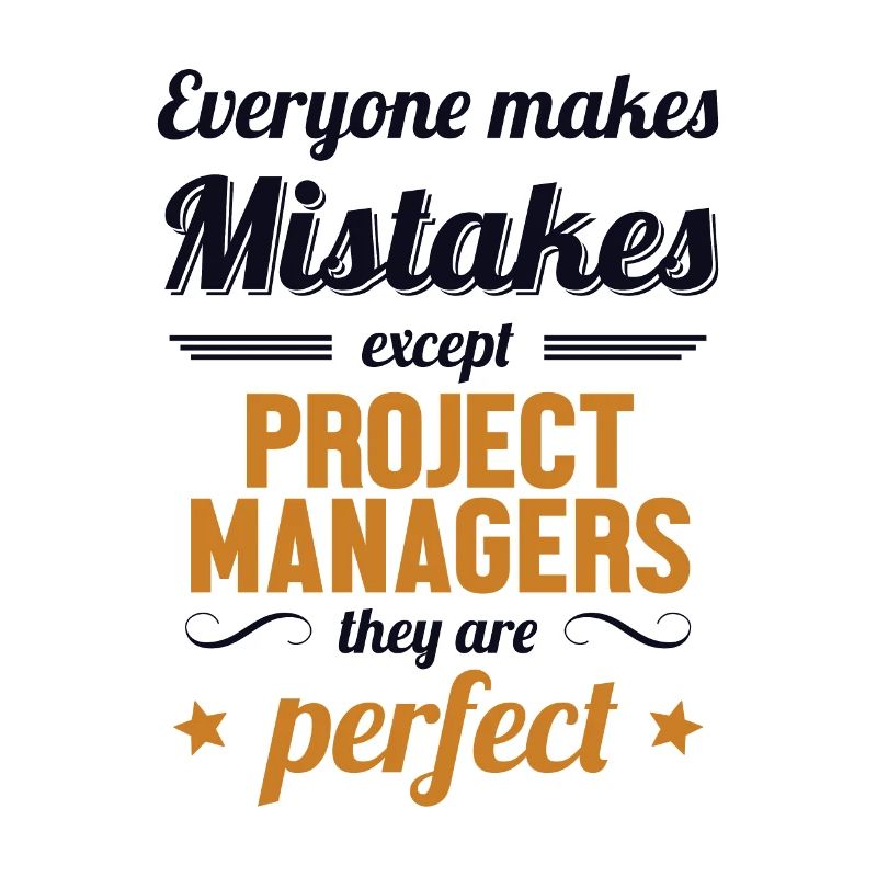 Project Manager are Perfect IT Project Manager