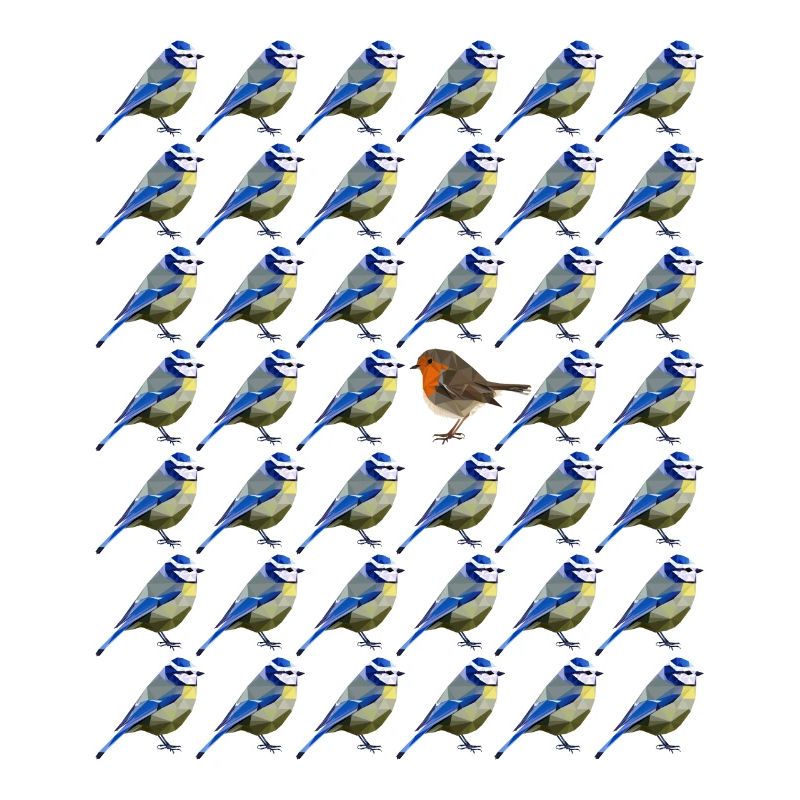 sei anders Blaumeise Rotkehlchen Vogel Muster