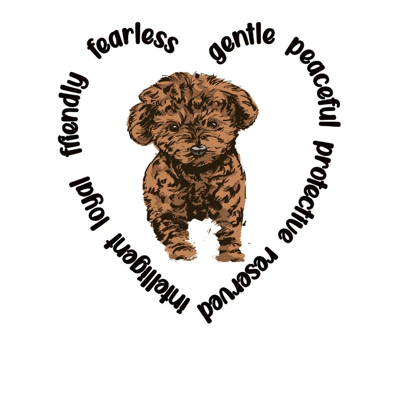 Cavapoo Hundeliebhaber Cavoodle Mama Cavapoo Hund