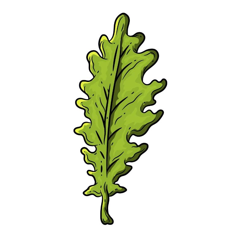 Chêne