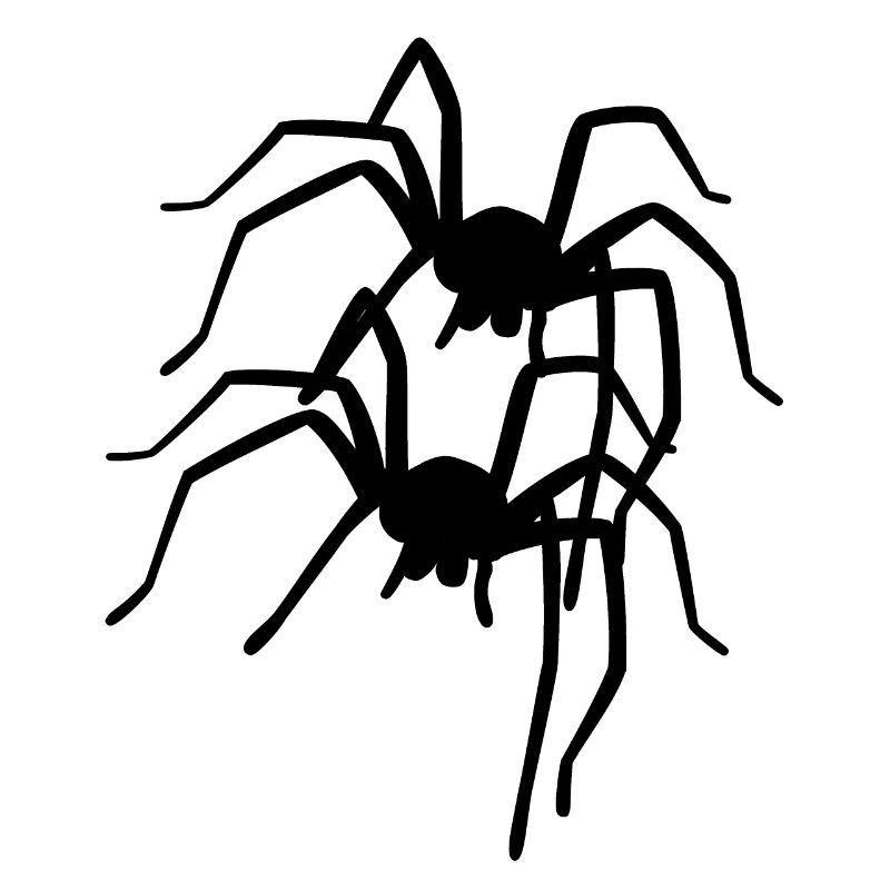 Spider Spiders Animals Crawling Disgust Horror