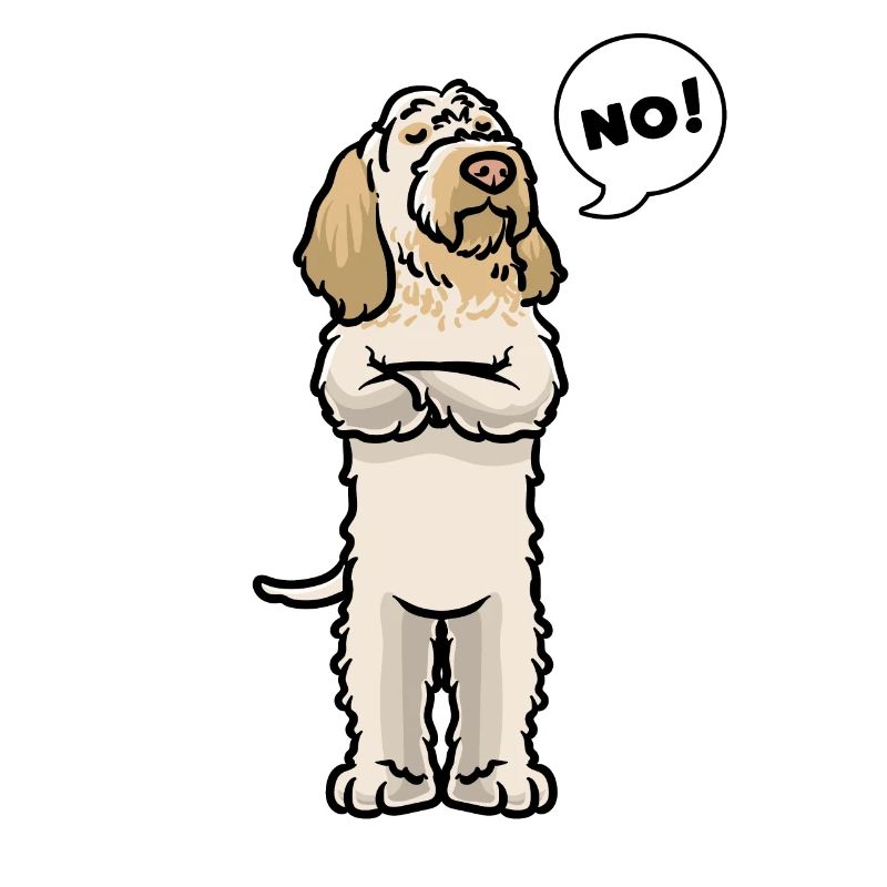 Spinone italiano Cane