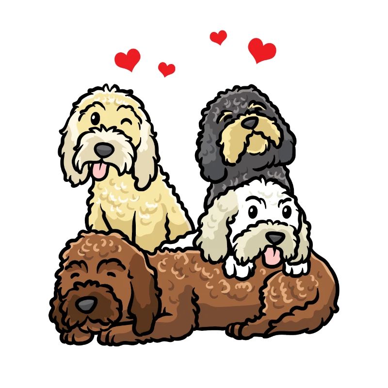 Cockapoo Hund Cockerpoo