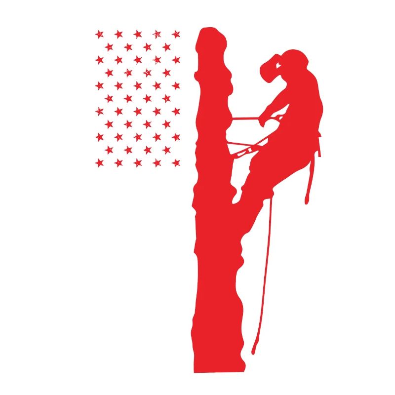 Baumpfleger Baumkletterer Baumpflege