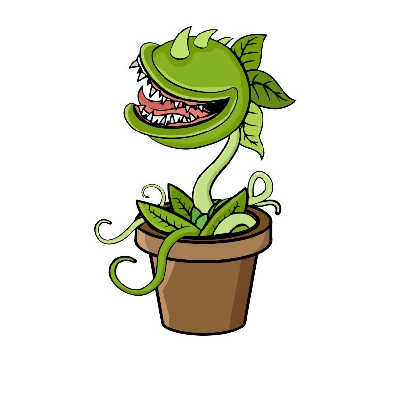 Carnivorous plant Venus flytrap