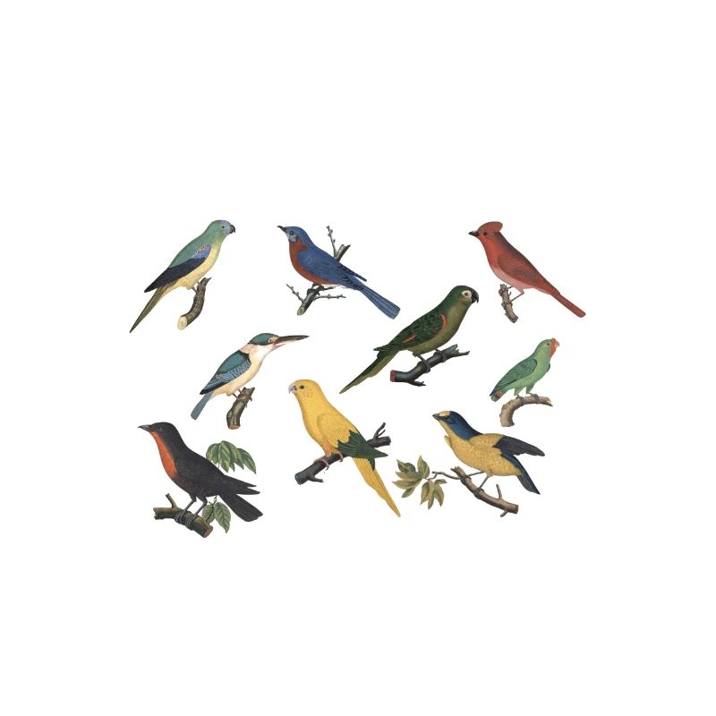 Vogel Nerd Vogelarten Artwork