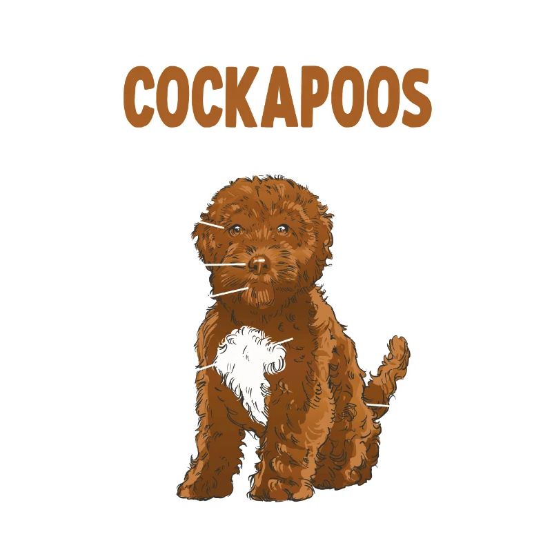 Cockapoo Anatomie witziges Hundehalter Hunde