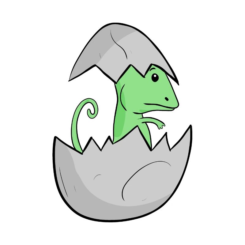 Bébé caméléon
