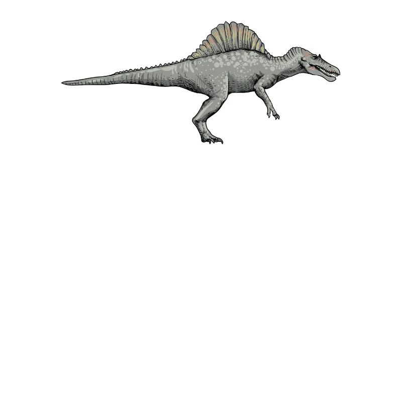 Spinosaurus I Thorn Lizard Cretaceous Fossil