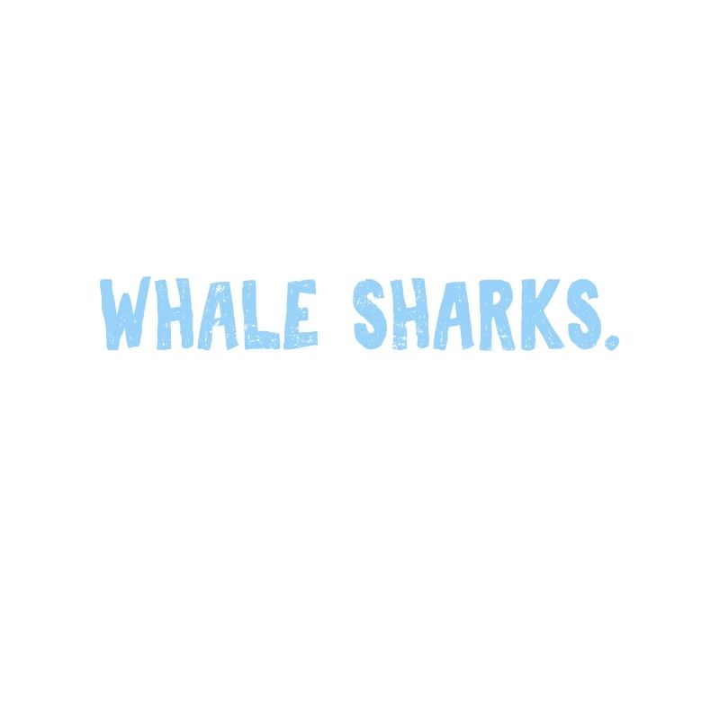 Manger Dormir Whale Sharks Répéter Mignon Baleine Requin Lov
