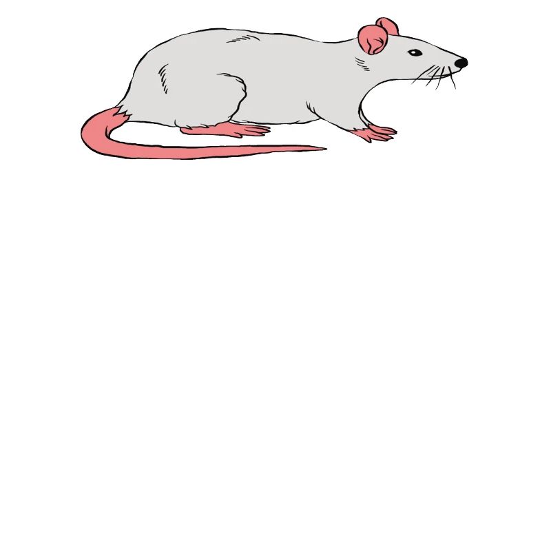 Rat lovers because rats also need heroes