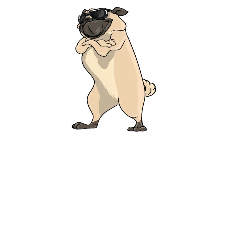 I Am A Pug Im Never Wrong