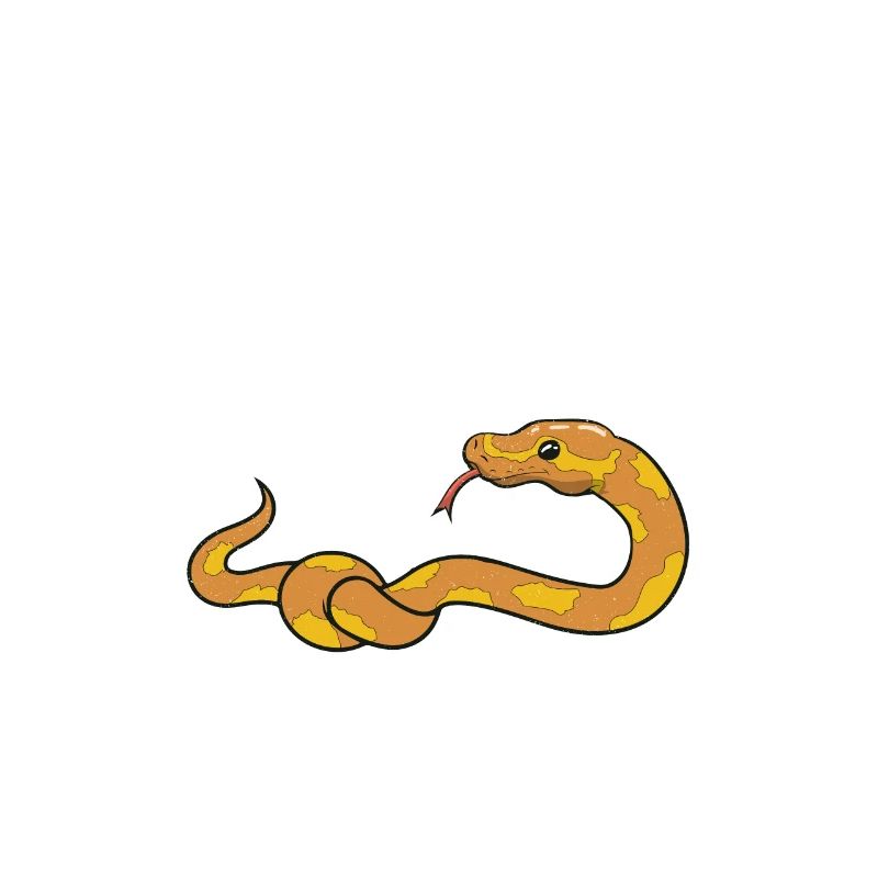 Banana Ball Python Herpétologiste se sentant noueux