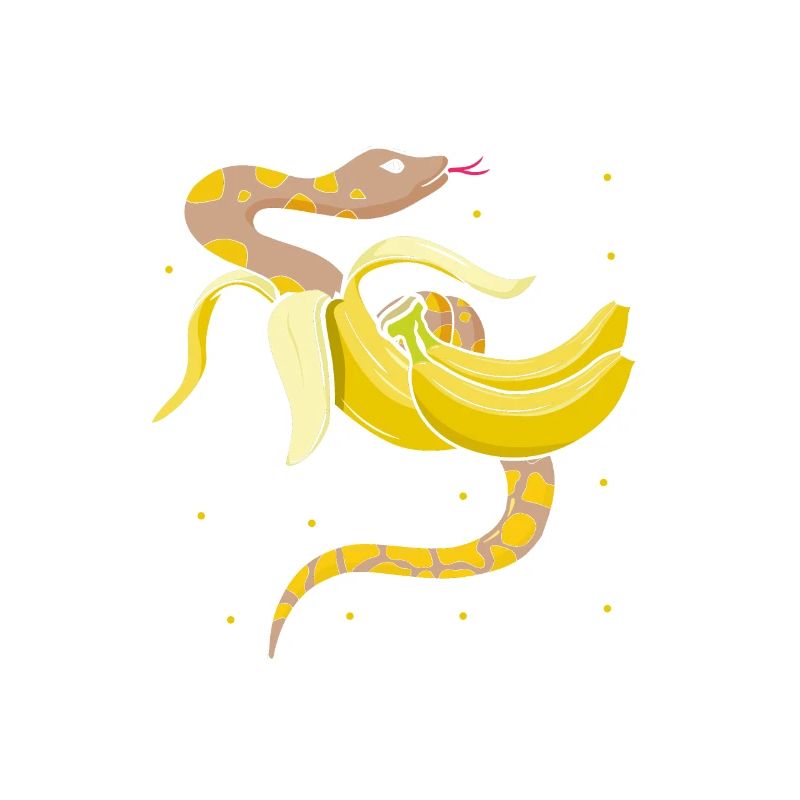 King python design pour les amateurs de serpents